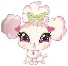 Comment s'appelle son animal ?