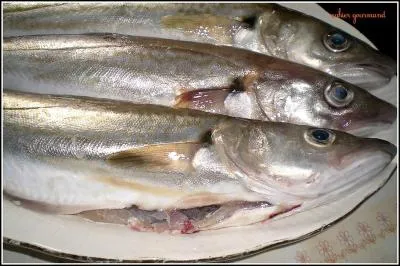 Sa chair est maigre fine et feuilletée, mais il se conserve assez mal. Quel est ce poisson diététique par excellence ?