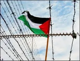 Arabe - Comment traduisez-vous "intifada" en français ?