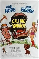 Swahili - Quelle est la signification du mot "bwana" ?