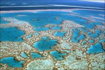 À la fin de cette journée très difficile, je ne sais plus où j'en suis ni ce que je fais ni ce que je dis !