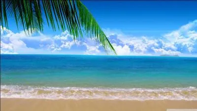 Puissante vague provoquée par une tempête :