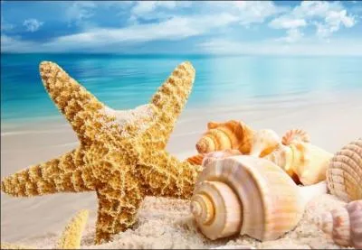 Où va-t-on en suivant le fleuve ?