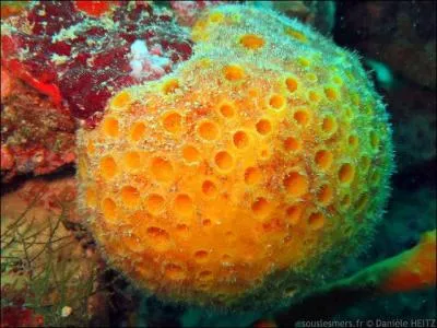 De qui les alcooliques sont-ils la réincarnation ?