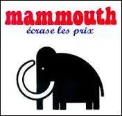 Les supermarchés "Mammouth" arborent aujourd'hui l'enseigne...