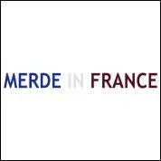 Quel chanteur a interprété : 'Merde in France' ?