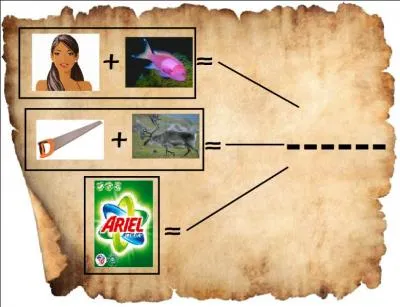 "Une fois la mer calme, il retourna là où il avait découvert cette carte. Au même endroit se trouvait une boîte posée sur le sable, dedans, il y avait deux feuilles. La 1ère disait «Décode, trouve et parle avec.» La 2e est ci-jointe."

Ces 3 cadres, représentent une seule et même idée. Laquelle ?