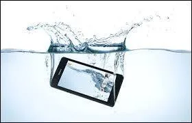 Qui a chanté : "Un océan de mots, un océan de pensées, un océan de mots, un océan de trop dans lequel je me noie" ?