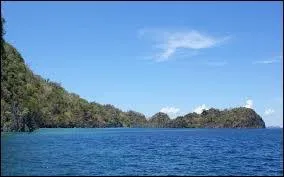 Qui a chanté : "Ils parlent de la mort comme tu parles d'un fruit. Ils regardent la mer comme tu regardes un puits. Les femmes sont lascives au soleil redouté" ?