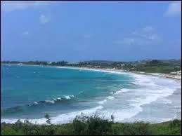 Comment se nomme cette belle chanson de Véronique Sanson : "Deux colombes se font la guerre / Sous la tonnelle bruissement d'ailes..."