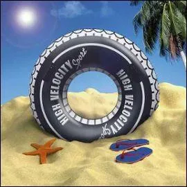 C'était des vacances de rêve ! Nous ne partons pas sans la _____ que nous avons achetée.