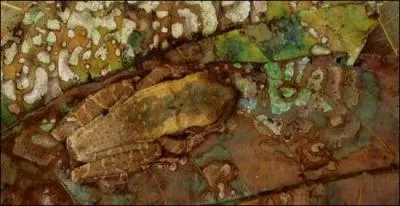 Observe bien cette image !