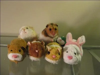 Des Zhu Zhu Pets, mais il y a un intrus ! Trouve-le !