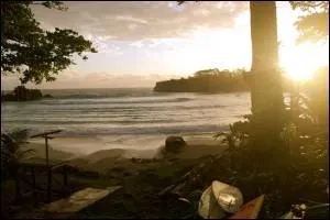 Pensez à un célèbre film de Walt Disney mettant en scène des pirates et vous avez trouvé le nom de cette mer, qui est...