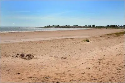 Retour dans le Nord, elle sépare l'Irlande et la Grande-Bretagne. Quelle est cette mer ?