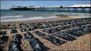 Combien y eut-il de naufrages transportant des migrants entre le 12 et 19 avril 2015 ?