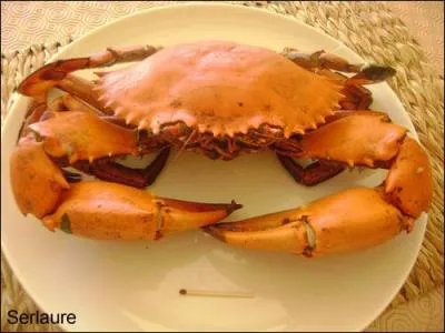 Retour dans un bon restaurant français où l'on nous présente :