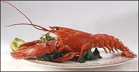 Et nous terminerons avec le roi des crustacés :