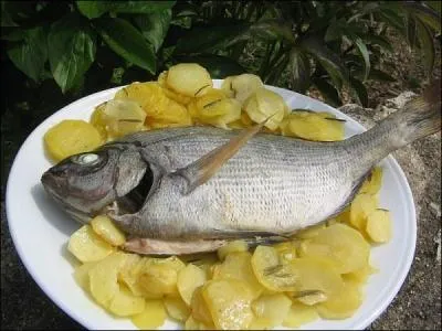 Succulent produit de la mer, quel est ce poisson ?