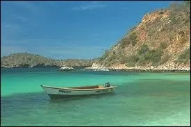 Trouvez ce pays d'Amérique du Sud qui n'est pas bordé par l'océan Pacifique :