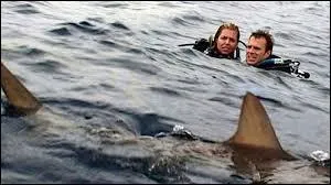 Ce film américain sorti en 2003 nous fait vivre l'angoisse d'un couple perdu en plein milieu de l'océan, en compagnie de charmants requins... Ce long-métrage s'intitule :
