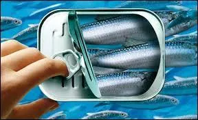 Parmi ces marques alimentaires de produits de la mer, quelle est celle qui commercialise uniquement de la conserverie de poisson ?