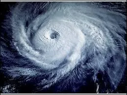 Un cyclone tropical est une très forte dépression qui prend forme dans les océans. Trouvez la proposition ne désignant pas un synonyme de ce phénomène météorologique :