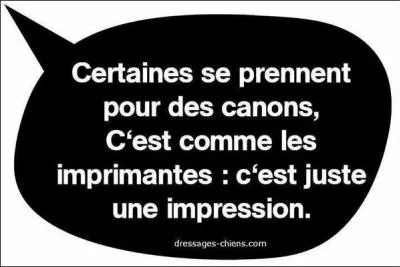 Les femmes préfèrent être belles, plutôt qu'intelligentes... '