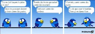 Le bourdon, vu sa morphologie et la taille de ses ailes, ne devrait pas voler... '