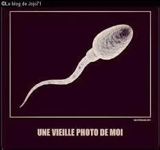 Je n'ai jamais assisté à des courses de spermatozoïdes... '