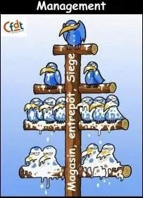 Chez nous c'est moi le patron... '