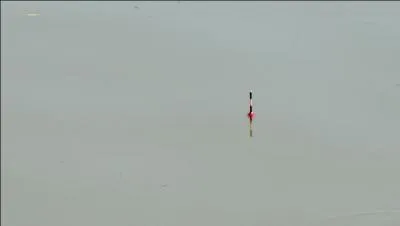 Si vos réponses sont toutes bonnes, vous le serez avec moi, de ...