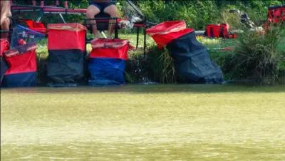 Idée surgie de l'esprit, permettant d'organiser la perception ou la connaissance !