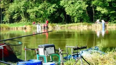 A réussi à se tenir longtemps au pouvoir, malgré de nombreux coups de bottes au train !