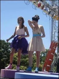 Quelle est la chanson du générique ?