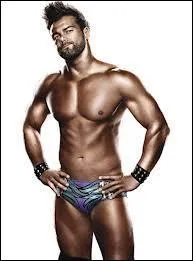 Qui est ce catcheur voltigeur ?