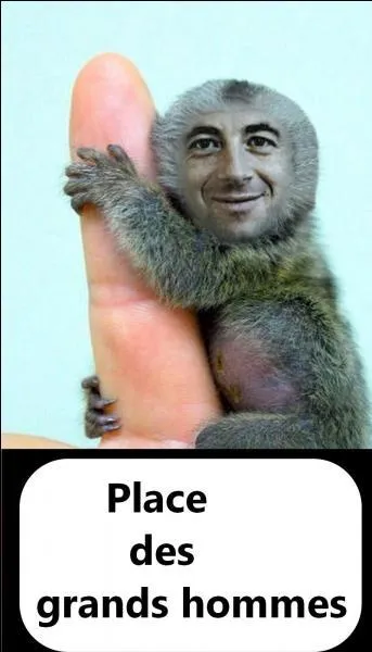 Quelle est la bonne réponse ?