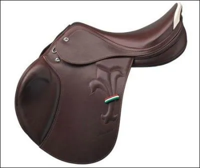 Comment s'appelle cette selle ?