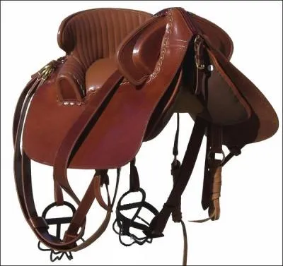 Comment s'appelle cette selle ?