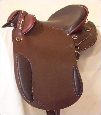 Comment s'appelle cette selle ?