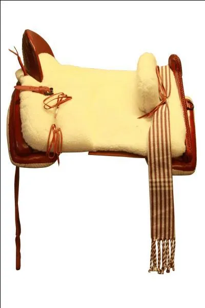 Comment s'appelle cette selle ?