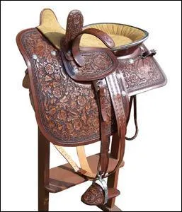 Comment s'appelle cette selle ?