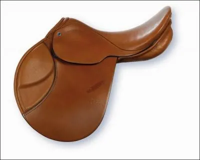 Comment s'appelle cette selle ?