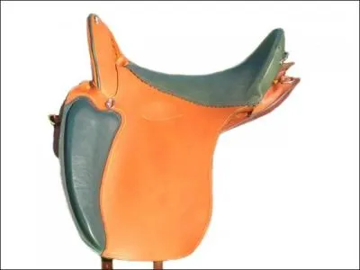 Comment s'appelle cette selle ?