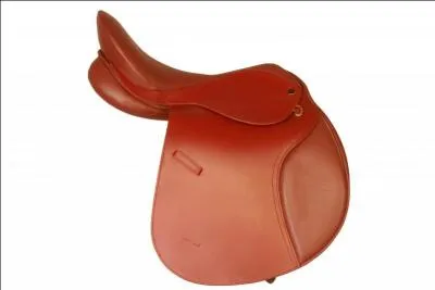 Comment s'appelle cette selle ?