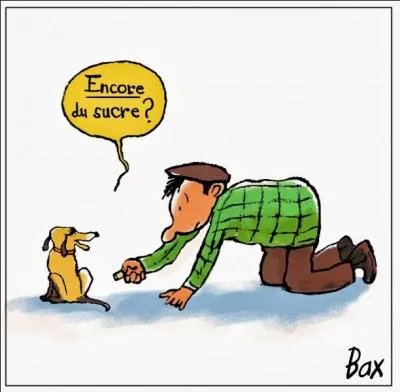 Un ministre a été inculpé pour avoir donné du sucre à un chien policier, quel fut le chef d'accusation ?