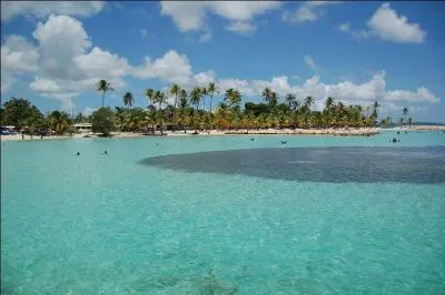 Une barrière de corail protège les plages de Sainte-Anne, ville située sur la côte sud de Grande-Terre, des courants de...