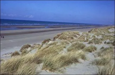 Bray-Dunes possède deux lieux dunaires d'exception. Au sein de la dune du Perroquet, découvrez "les trésors" de la plage et de la dune. Quelle mer borde ces lieux à protéger ?