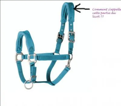 Comment s'appelle la partie du licol montrée par cette flèche ? (une réponse possible)