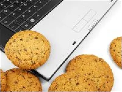 Auparavant on aimait vraiment la saveur du sucre des cookies ! Aujourd'hui, pourquoi peut-on considérer qu'ils ont un goût très amer ?